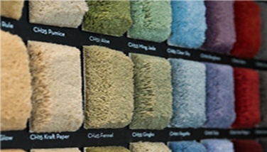 Area Rugs & Wall to Wall Carpet