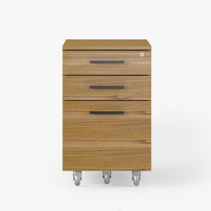 mobile file unit