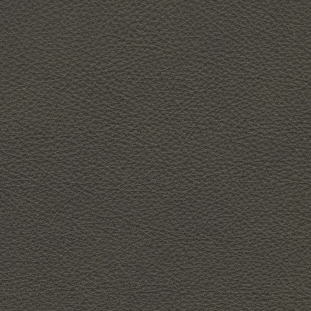 olive green leather