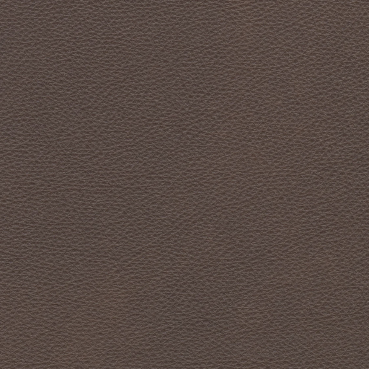 Saddle Color Leather